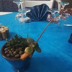 Ristorante - Le Zagare