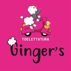 Ginger's Toelettatura