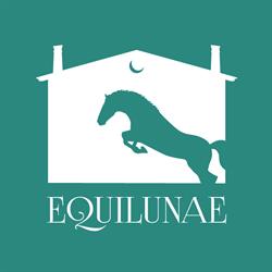 ASD Equilunae