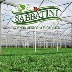 Azienda agricola Sabbatini
