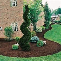 Fulli Garden