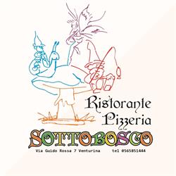 Sottobosco