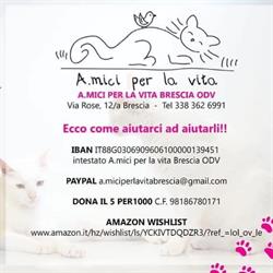 A.mici per la vita Brescia ODV