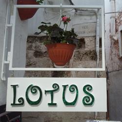 Lotus Abbigliamento & Souvenirs