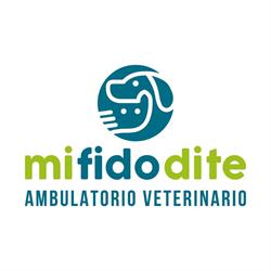 Mi Fido Di Te
