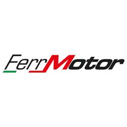 FerrMotor