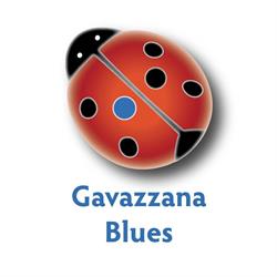 Gavazzana Blues