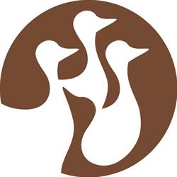 Limperfetto Design