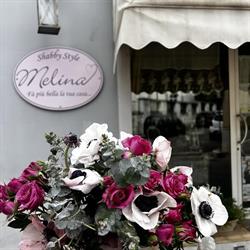 Melina Shabby