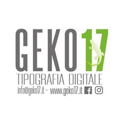 GEKO17