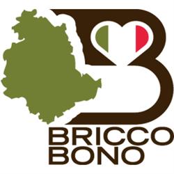 Briccobono