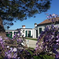 podere67