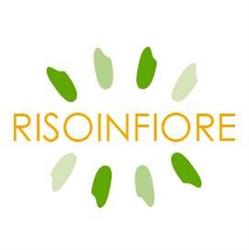 RISOINFIORE Produttori riso e vendita a Vercelli, Piemonte