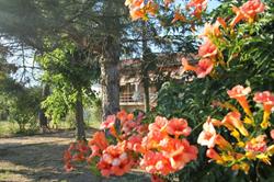 Fondo Bosco B&B