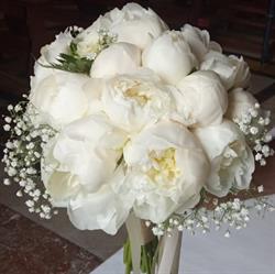 Fiori E Decori