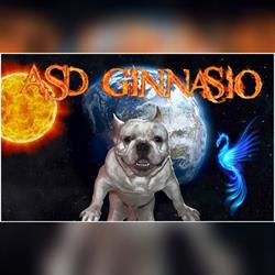 Palestra Ginnasio