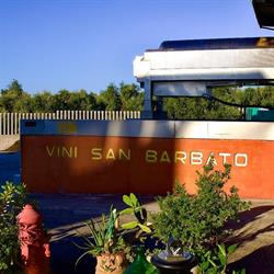Vini San Barbato Snc