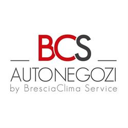 BCS Autonegozi