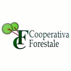 F.C. Legnami Cooperativa Forestale
