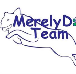 Merely Dog Team Agility Dog