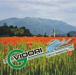 Vidori Servizi Ambientali Srl