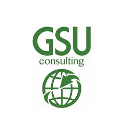 Gsu Consulting