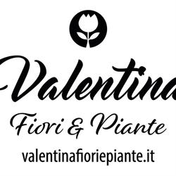 Valentina Fiori e Piante