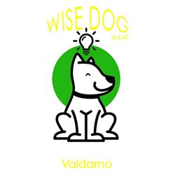 "Wise Dog ASD" Centro Cinofilo Valdarno