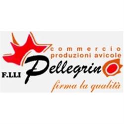 Pellegrino Fratelli