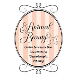 Animal Beauty