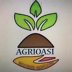 Agrioasi Società Agricola Ficcadenti