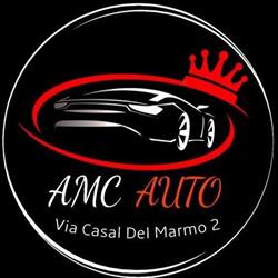 AMC AUTO SRLS