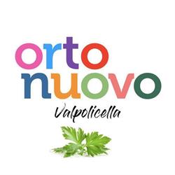 Ortonuovo Srl