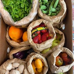 Le meraviglie della frutta
