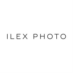 ILEX Gallery