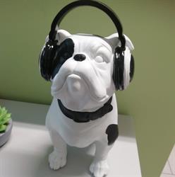 Rock Vet - Ambulatorio Veterinario