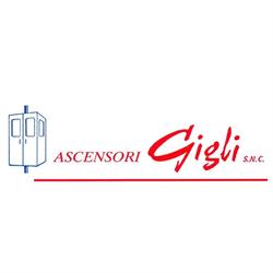 ASCENSORI GIGLI S.n.c.