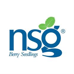 Nova Siri Genetics SRL