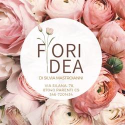 Fioridea di Silvia Mastroianni