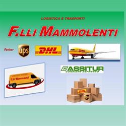 Logistica E Trasporti Fratelli Mammolenti