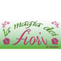 La Magia Dei Fiori Di Andrea Di Andrea Forte