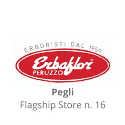 Erbaflor Peruzzo Srl