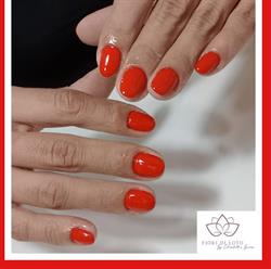 Fiori Di Loto Nail Center Di Boasso Elisabetta