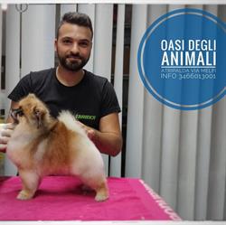 Oasi Degli Animali