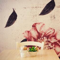 Cocotte Milano