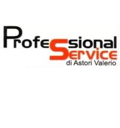 Professional Service