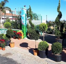 Flower Garden di Palazzolo