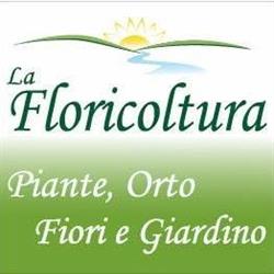 LA FLORICOLTURA di Geronazzo Simone