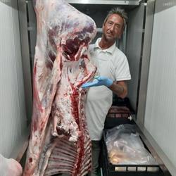 Macelleria Cardea