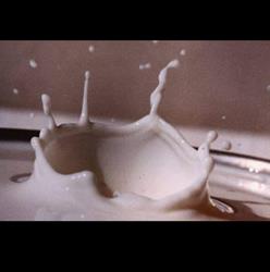 La Nuova Idea del Gelato